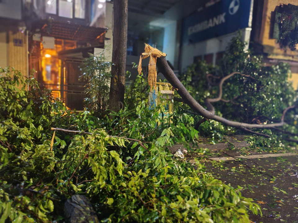 Cây đổ trên phố Lò Đúc (ảnh chụp lúc 22h10). (Ảnh: Doãn Tấn/TTXVN)