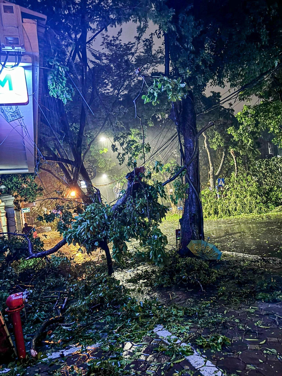 Lực lượng chức năng xử lý cây đổ tại phố Nguyễn Cao, quận Hoàn Kiếm (ảnh chụp 22g). (Ảnh: Phạm Kiên/TTXVN)