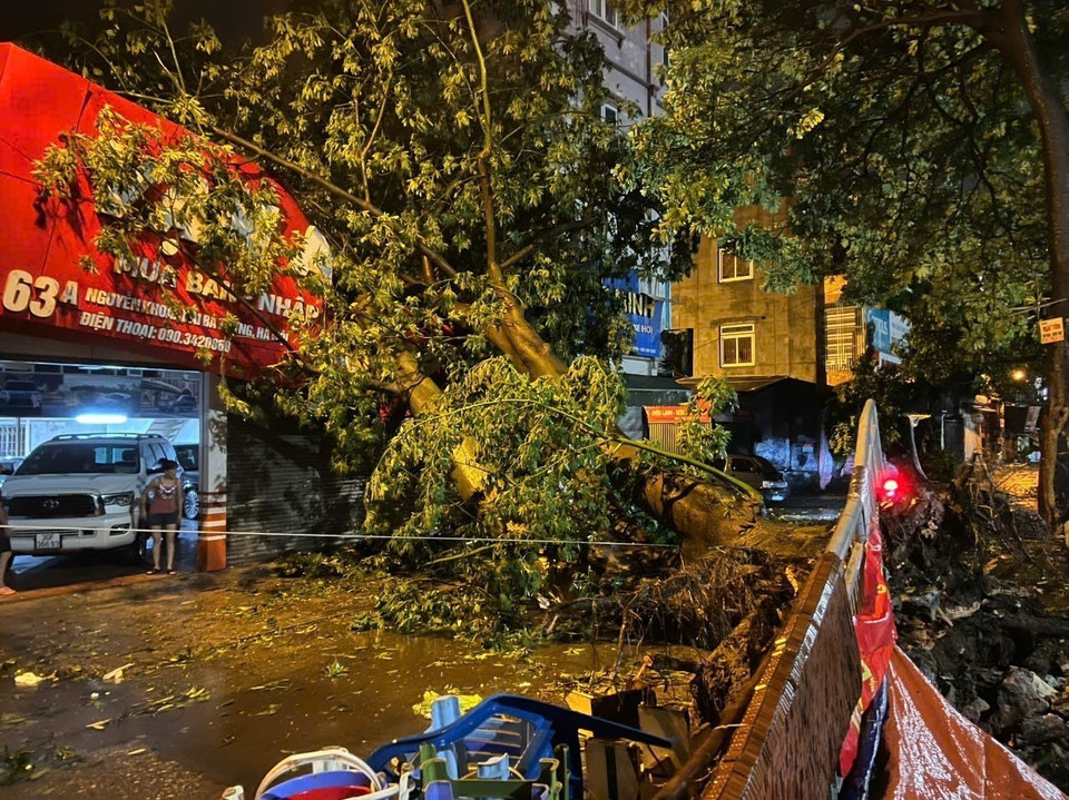 Một cây to đổ gãy ngang đường tại phố Nguyễn Khoái, quận Hai Bà Trưng (ảnh chụp lúc 21h56). (Ảnh: Phạm Kiên/TTXVN)