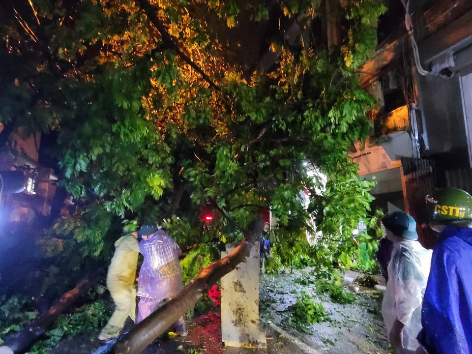 Lực lượng chức năng xử lý dọn dẹp cây đổ trên phố Nguyễn Cao. (Ảnh: Doãn Tấn/TTXVN)