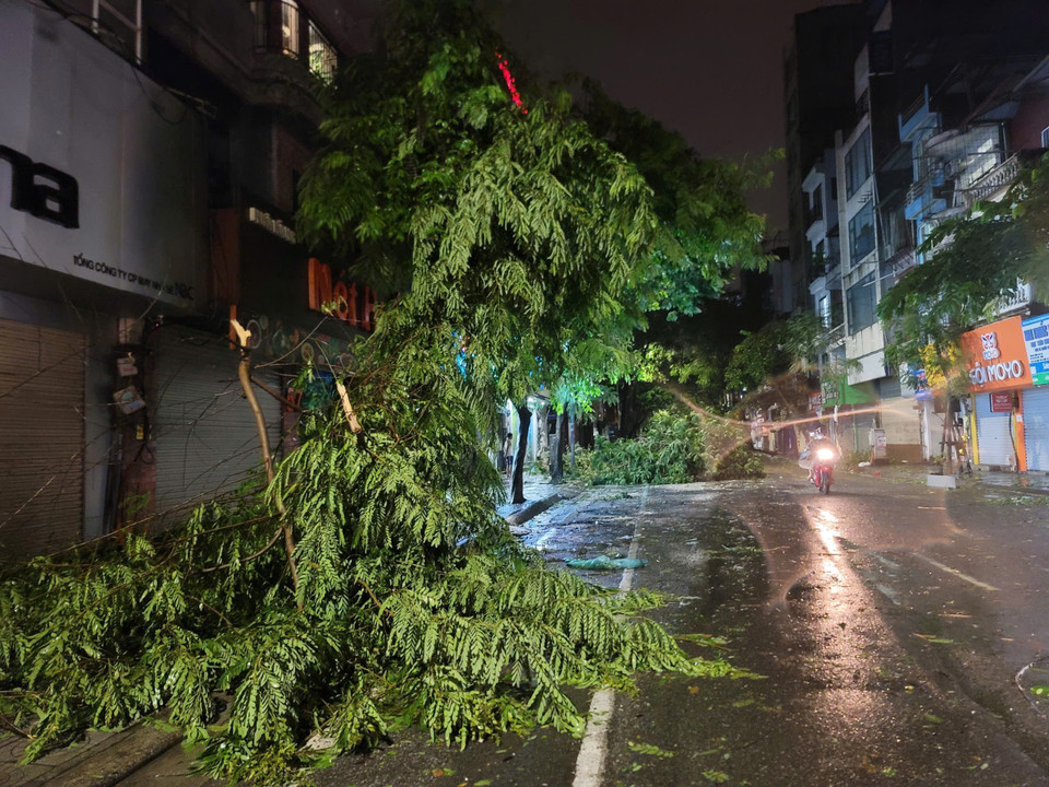 Cây đổ la liệt trên phố Lạc Trung, quận Hai Bà Trưng (ảnh chụp lúc 21h50). (Ảnh: Doãn Tấn/TTXVN)