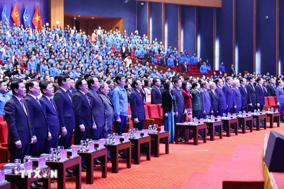 Các đại biểu thực hiện nghi thức chào cờ. (Ảnh: Minh Đức/TTXVN)