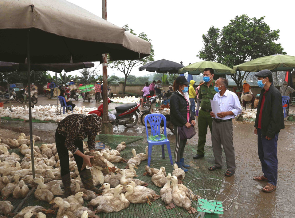 Công an xã Lê Lợi và Ban Quản lý chợ đầu mối gia cầm Hà Vĩ (huyện Thường Tín) tuyên truyền, vận động người dân kinh doanh tại chợ Hà Vĩ tham gia lấy mẫu máu xét nghiệm nhanh COVID-19. (Ảnh: Vũ Sinh/TTXVN)