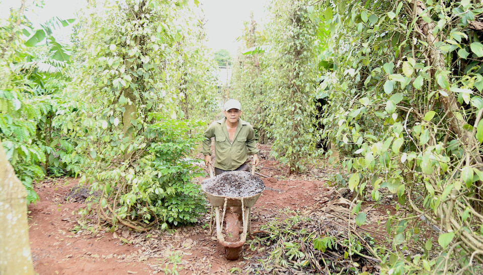 Người dân quay trở lại với cuộc sống thường nhật sau sự việc nhóm đối tượng dùng súng, dao tấn công trụ sở UBND xã Ea Tiêu và Ea Ktur, huyện Cư Kuin, tỉnh Đắk Lắk. (Ảnh: Quang Thái/TTXVN)