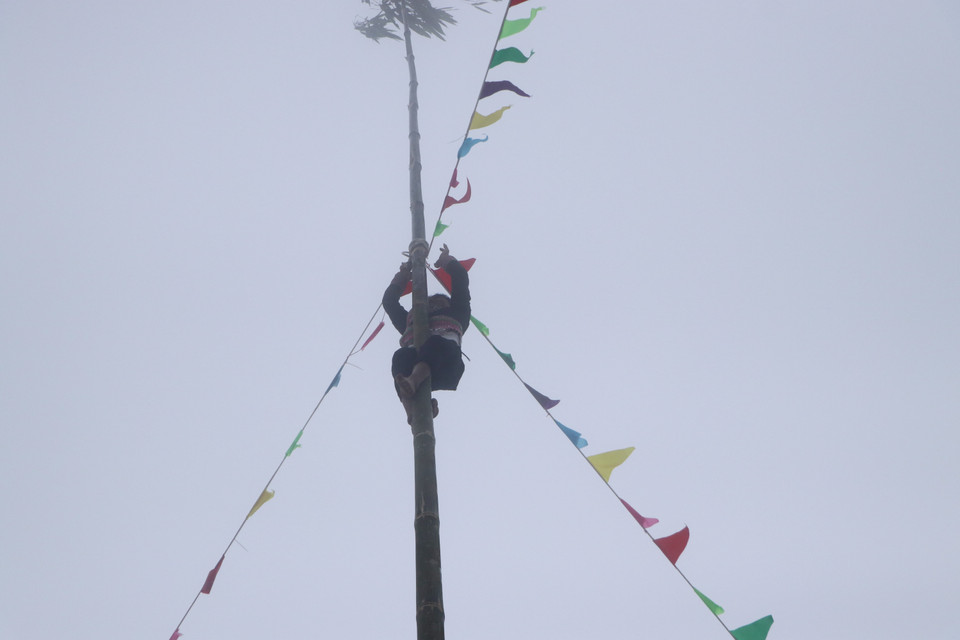 Trò chơi leo cây nêu không thể thiếu tại các lễ hội của người Mông nơi đây. (Ảnh: Đinh Thùy/TTXVN)