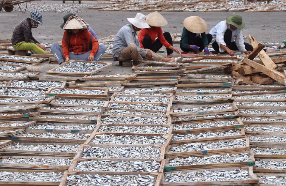 Các loại sản phẩm này chủ yếu được xuất khẩu sang Trung Quốc. (Ảnh: Nguyên Lý/TTXVN)