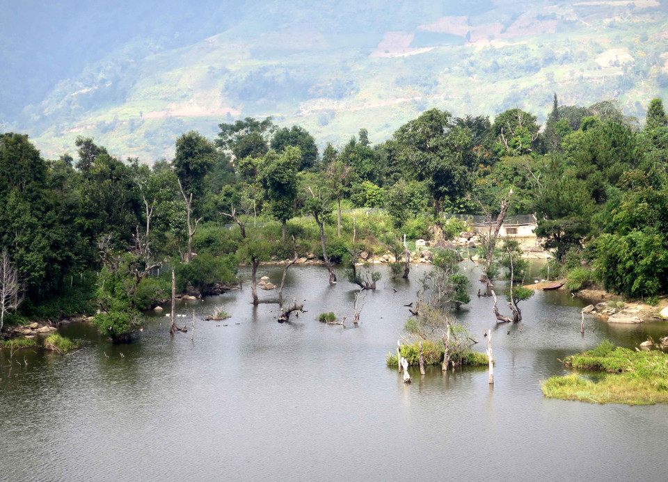 Những nơi mặt hồ khoét sâu vào bờ tạo nên khung cảnh tự nhiên như rừng ngập mặn duyên hải. (Ảnh: Xuân Tiến/TTXVN)