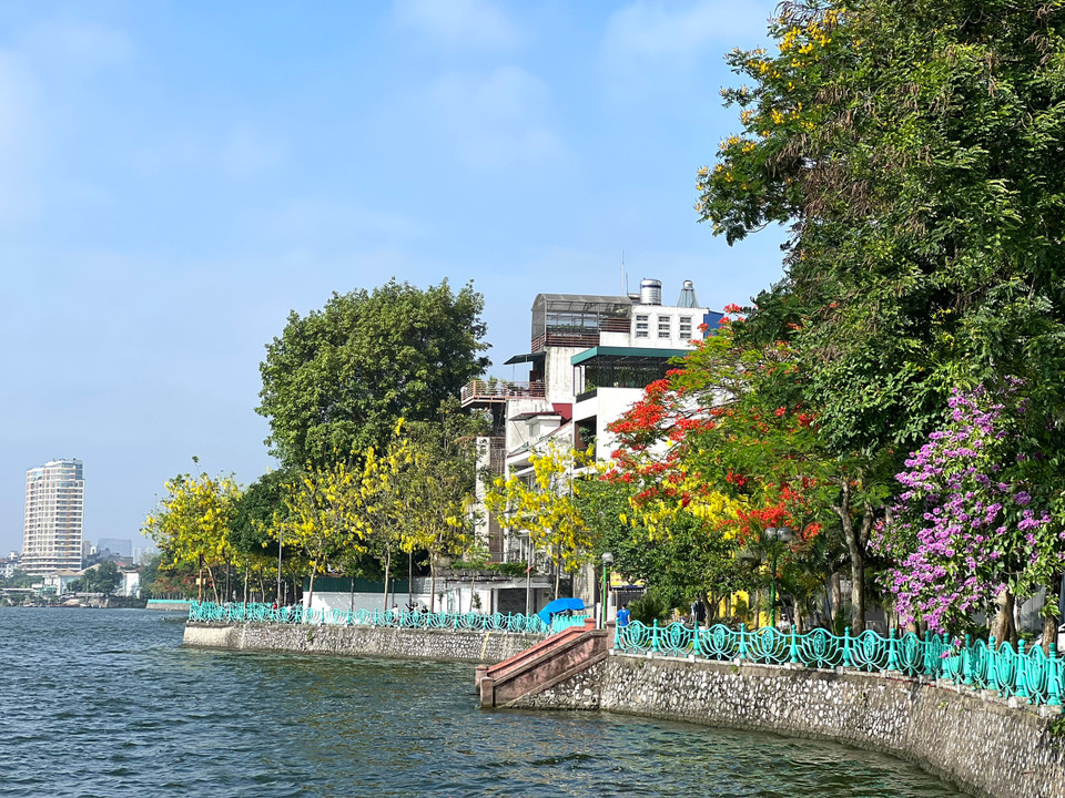 Tháng 5 Hà Nội dịu sáng với sắc màu của nhiều loài hoa. (Ảnh: Trần Hương Sơn/Vietnam+)