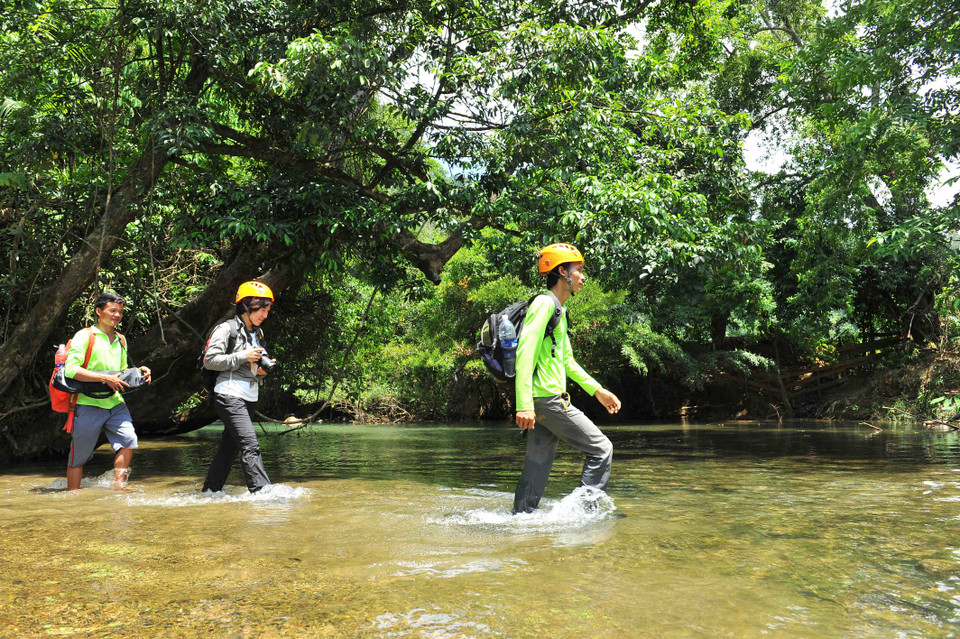 Để đến được hang Tiên phải trải qua một chặng đường khó khăn trong rừng Tú Làn. (Ảnh: Minh Đức/TTXVN)
