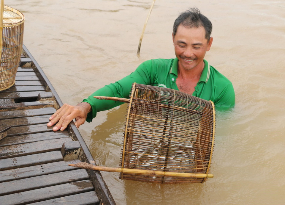 Vợ chồng anh Nguyễn Minh Ngà ở ấp Phước Khánh, xã Phước Hưng (An Phú, An Giang) bắt cá linh. (Ảnh: Công Mạo/TTXVN)