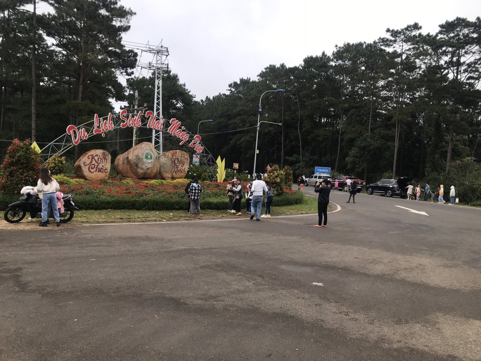 Du khách từ khắp nơi đổ về thị trấn Măng Đen, huyện Kon Plông, tỉnh Kon Tum để ngắm hoa anh đào bung hoa, khoe sắc. (Ảnh: Khoa Chương/TTXVN)