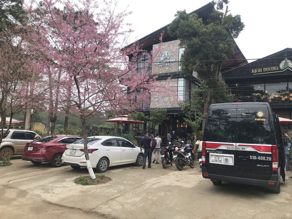 Du khách từ khắp nơi đổ về thị trấn Măng Đen, huyện Kon Plông, tỉnh Kon Tum để ngắm hoa anh đào bung hoa, khoe sắc. (Ảnh: Khoa Chương/TTXVN)