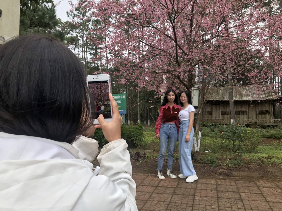 (Ảnh: Khoa Chương/TTXVN)