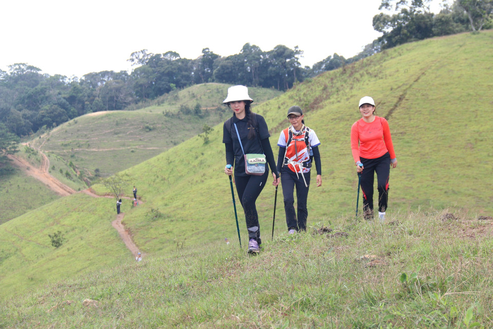 Bắt đầu từ xã Tà Năng, cung đường dẫn du khách chinh phục những quả đồi trùng điệp, di chuyển từ độ cao 1.100m xuống 500m so với mực nước biển, vượt suối, trèo đèo, băng qua những cánh rừng rậm rạp, kéo dài qua những cánh rừng thông và đồng cỏ xanh bạt ngàn rồi kết thúc tại xã Phan Dũng. (Ảnh: Nguyễn Thanh/TTXVN)