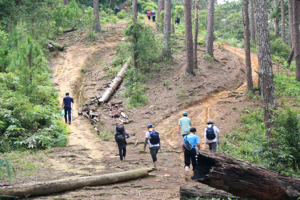 Cung đường trekking Tà Năng-Phan Dũng di chuyển qua nhiều đèo dốc đòi hỏi có sức khỏe dẻo dai để chinh phục. (Ảnh: Nguyễn Thanh/TTXVN)