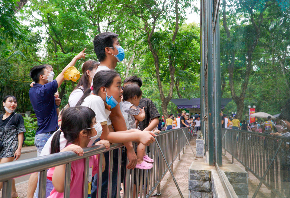 Các em nhỏ hào hứng khi được tận mắt xem những con thú. Đây cũng là một trải nghiệm thú vị sau thời gian dài phải ở nhà để phòng dịch. (Ảnh: Minh Hiếu/Vietnam+)