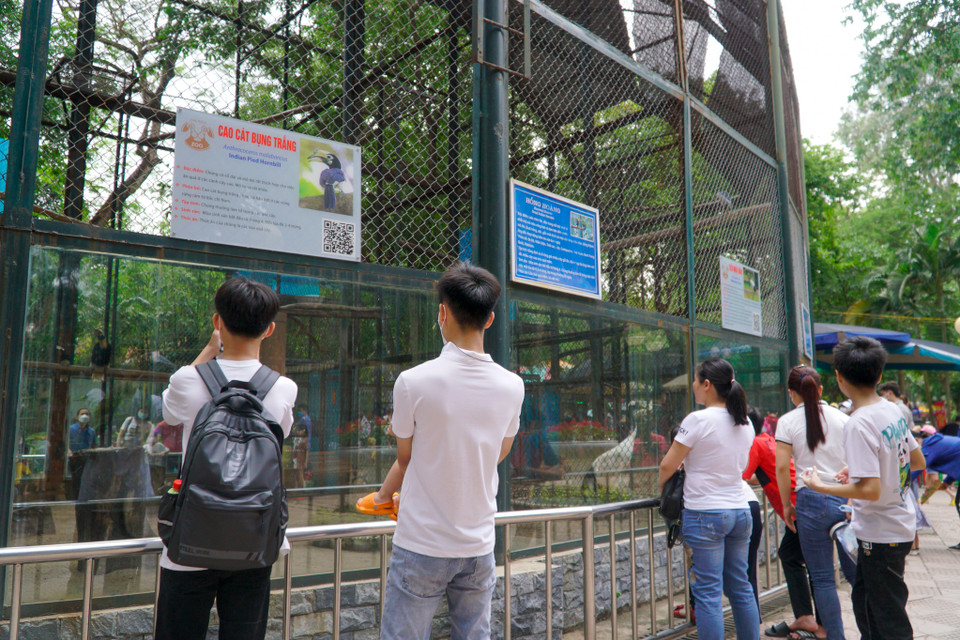 Du khách tập trung đông nhất ở khu vực chuồng chim, hổ, hươu, nai... (Ảnh: Minh Hiếu/Vietnam+)