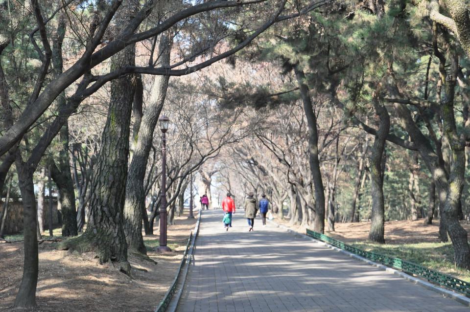 Nhiều khách khu lịch chọn khu lăng mộ Daereungwon là điểm đến đầu tiên cho chuyến du lịch tham quan của mình. (Ảnh: Thanh Thảo/Vietnam+)