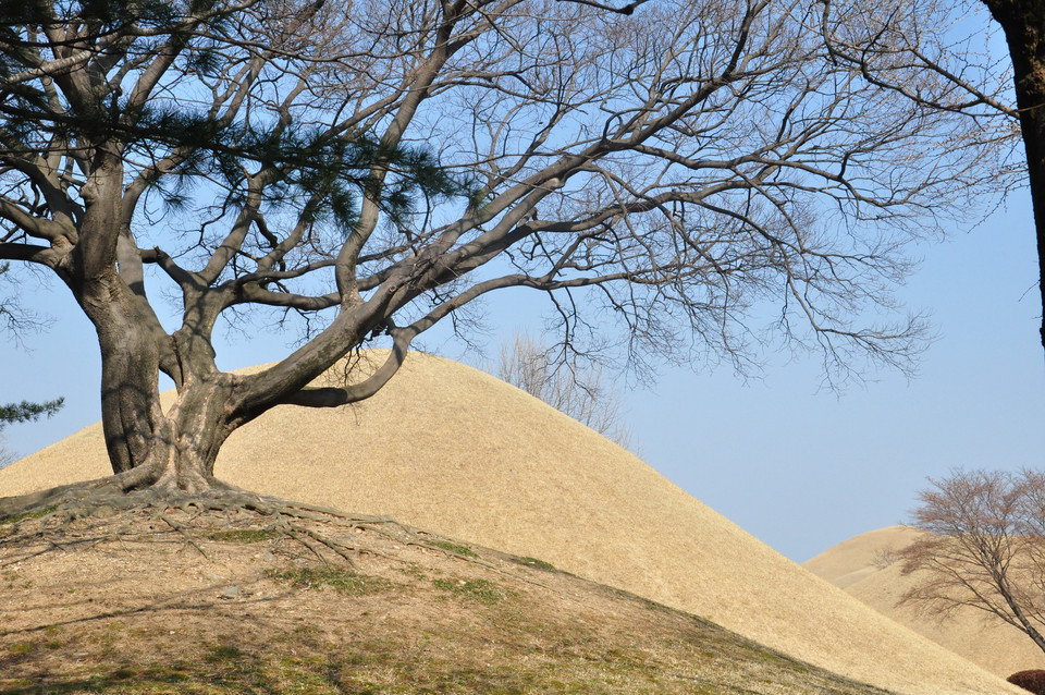 Vào mùa này cỏ trên mộ khô vàng úa... (Ảnh: Thanh Thảo/Vietnam+)