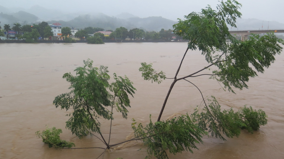 Lúc 7 giờ ngày 9/9, mực nước trên sông Hồng, đoạn qua thành phố Lào Cai lên tới 83,91m, cao trên báo động 3 là 0,41m. Hiện lũ trên sông vẫn đang tiếp tục lên với cường độ trung bình khoảng 20cm/giờ. (Ảnh: Hương Thu/TTXVN)