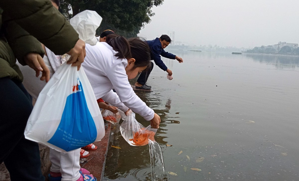 Người dân thả cá tiễn Táo quân về trời. (Ảnh: Hùng Võ/Vietnam+) 
