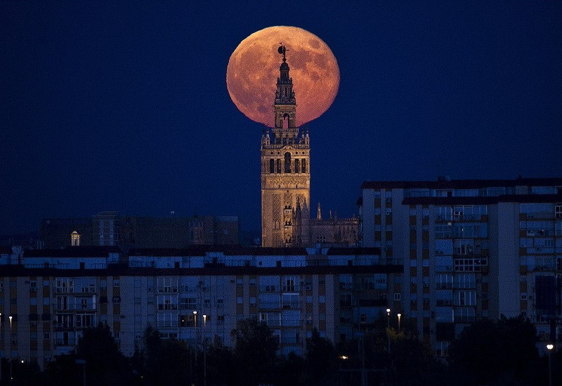 Mặt trăng trên tháp chuông Giralda của nhà thờ Seville vào đêm ngày 9/9. Đây sẽ là lần “siêu trăng” – hay còn gọi là “Trăng Thu hoạch” hoặc “mặt trăng cận điểm” – lần thứ ba và cũng là lần cuối cùng trong năm 2014. Hiện tượng này xảy ra khi mặt trăng ở gần đường chân trời, trông lớn và sáng hơn bình thường.