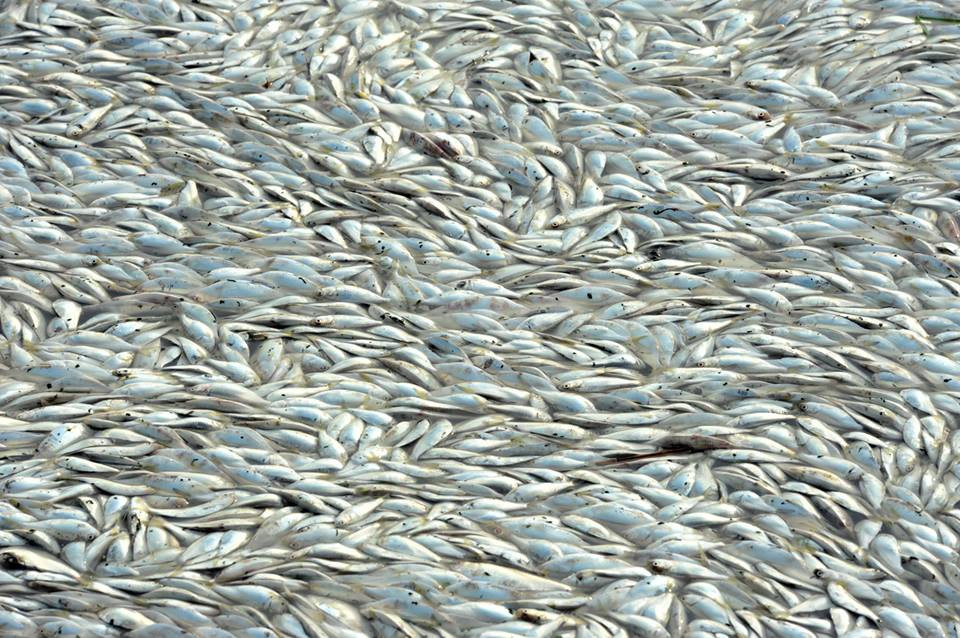 Đêm 12/8, hai vụ nổ xảy tại kho hàng chứa hóa chất nguy hiểm thuộc một khu công nghiệp ở Thiên Tân. (Nguồn: CCTV)