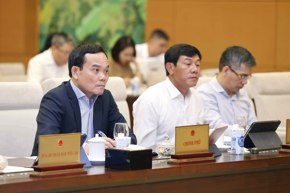 Phó Thủ tướng Trần Lưu Quang và đại biểu dự phiên họp. (Ảnh: Doãn Tấn/TTXVN)