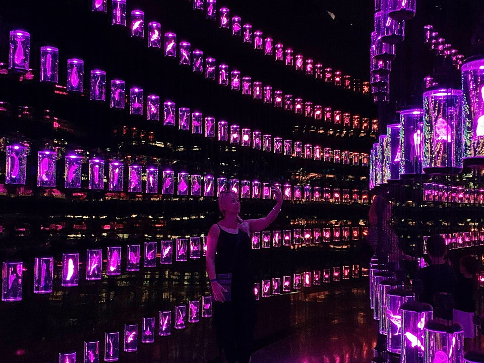 Phòng lưu giữ 2.400 hộp chứa các mẫu vật của nhiều giống động, thực vật trên trái đất. (Ảnh: Dương Giang/TTXVN)