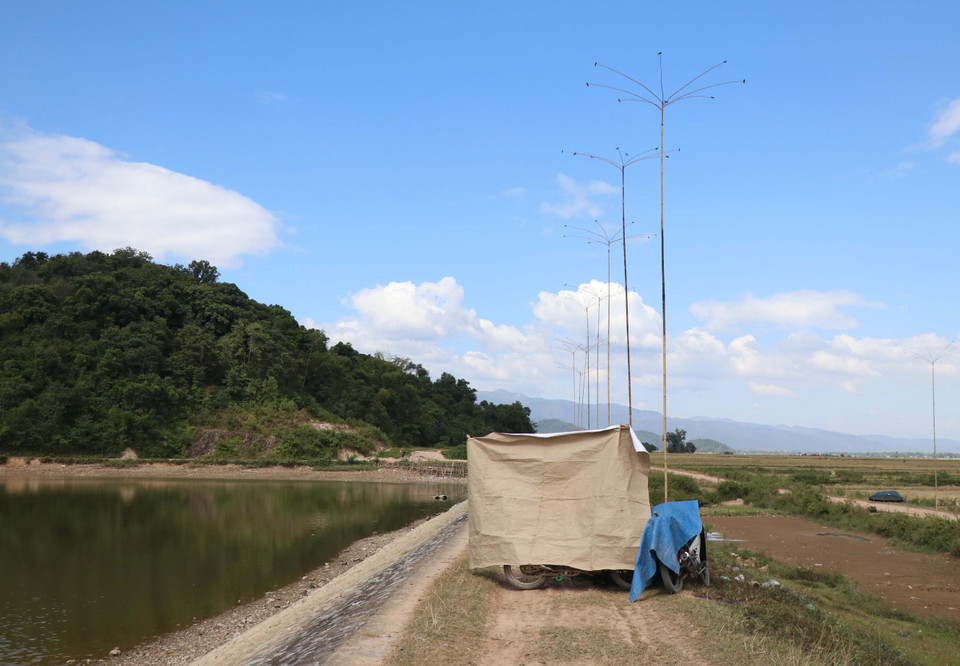Người dân đánh bẫy chim én. (Ảnh: Xuân Tiến/TTXVN)
