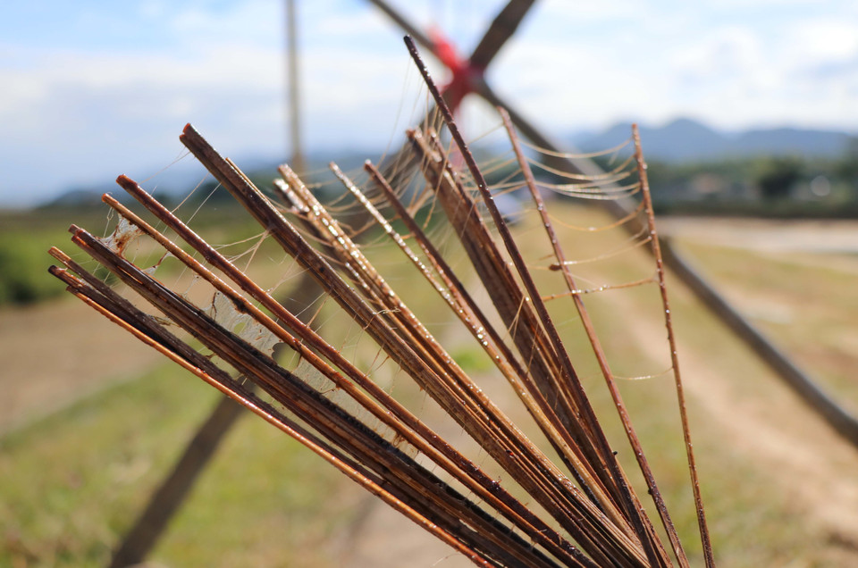 Các que nhỏ vót nhẵn được phủ nhựa dính để bẫy chim én. (Ảnh: Xuân Tiến/TTXVN)