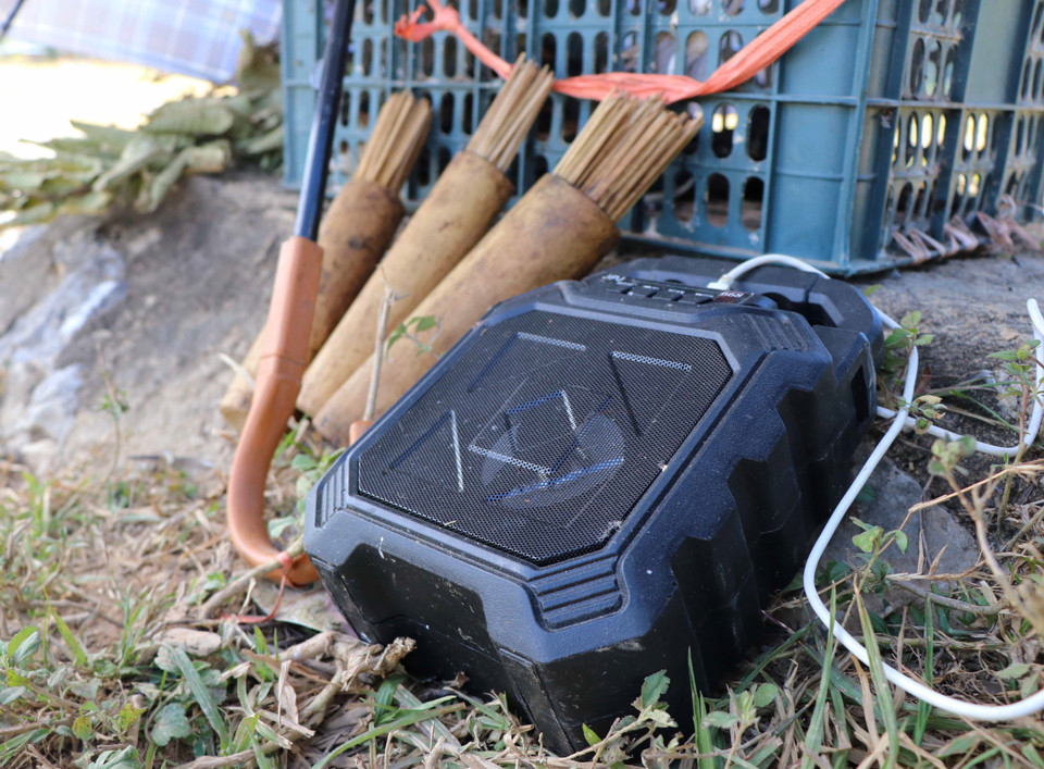 Dụng cụ máy phát âm thanh giả tiếng chim én. (Ảnh: Xuân Tiến/TTXVN)