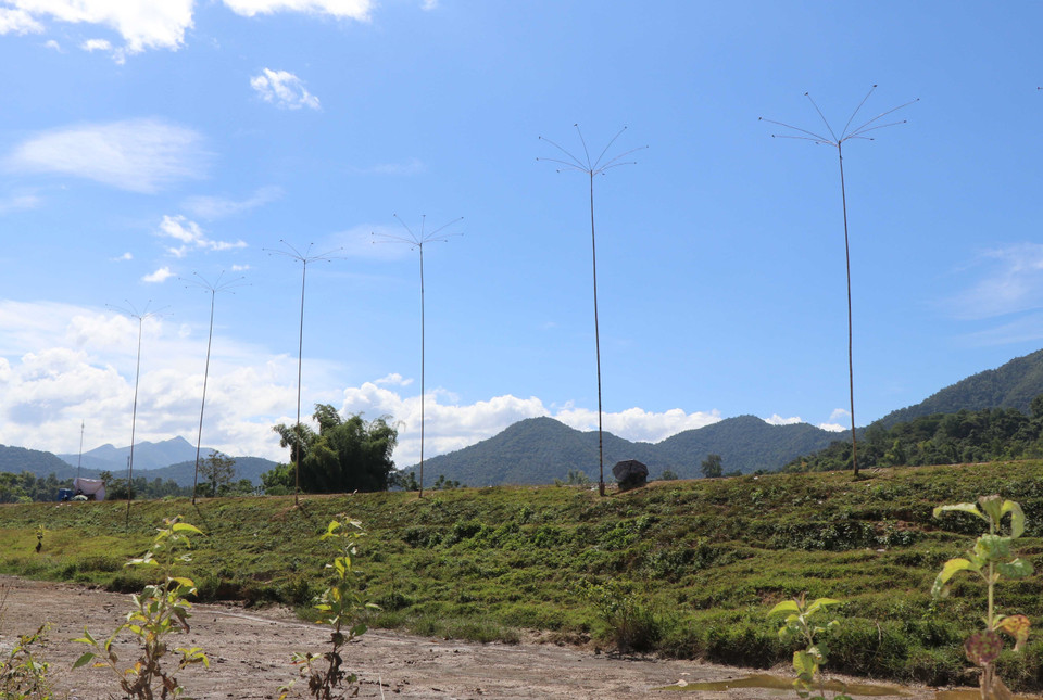 Các cây bẫy én tại hồ Co Lôm. (Ảnh: Xuân Tiến/TTXVN)