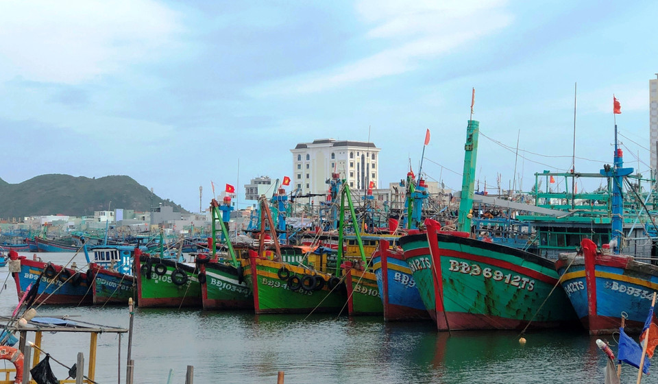 Tàu thuyền đang neo đậu trú bão số 9 tại cảng cá Quy Nhơn, Bình Định.(Ảnh: Nguyên Linh/TTXVN)