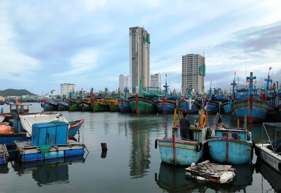 Tàu thuyền đang neo đậu trú bão số 9 tại cảng cá Quy Nhơn, Bình Định.(Ảnh: Nguyên Linh/TTXVN)