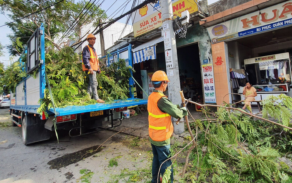 Thành phố Đà Nẵng khẩn trương cắt tỉa cây xanh để phòng chống bão. (Ảnh: Văn Dũng/TTXVN)