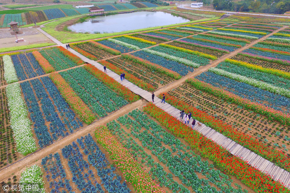 Ngôi làng nhỏ đã trở thành một điểm đến thu hút khách du lịch. (Nguồn: ChinaGlobalTVNetwork)