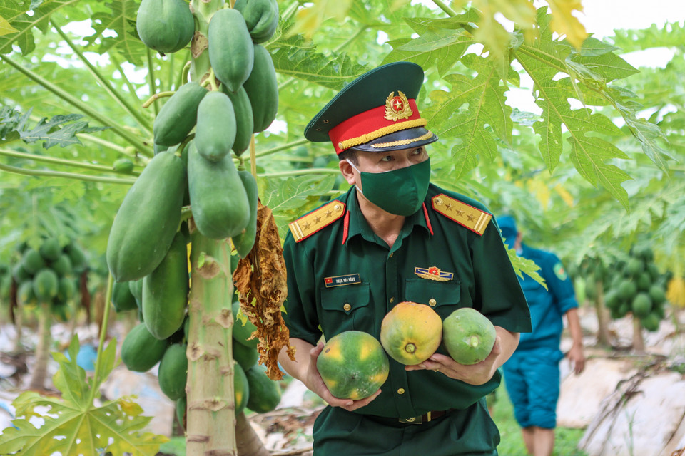 Theo Thượng tá Phạm Văn Dũng, đây là việc làm hết sức ý nghĩa, góp phần thực hiện tốt chức năng của quân đội giúp đỡ nhân dân do ảnh hưởng của đại dịch COVID-19. (Ảnh: Minh Sơn/Vietnam+)