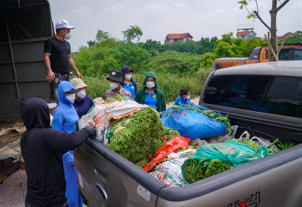 (Ảnh: Minh Hiếu/Vietnam+)