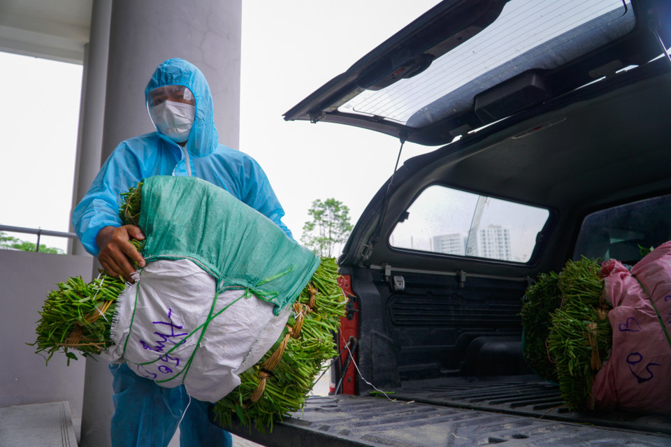 (Ảnh: Minh Hiếu/Vietnam+)