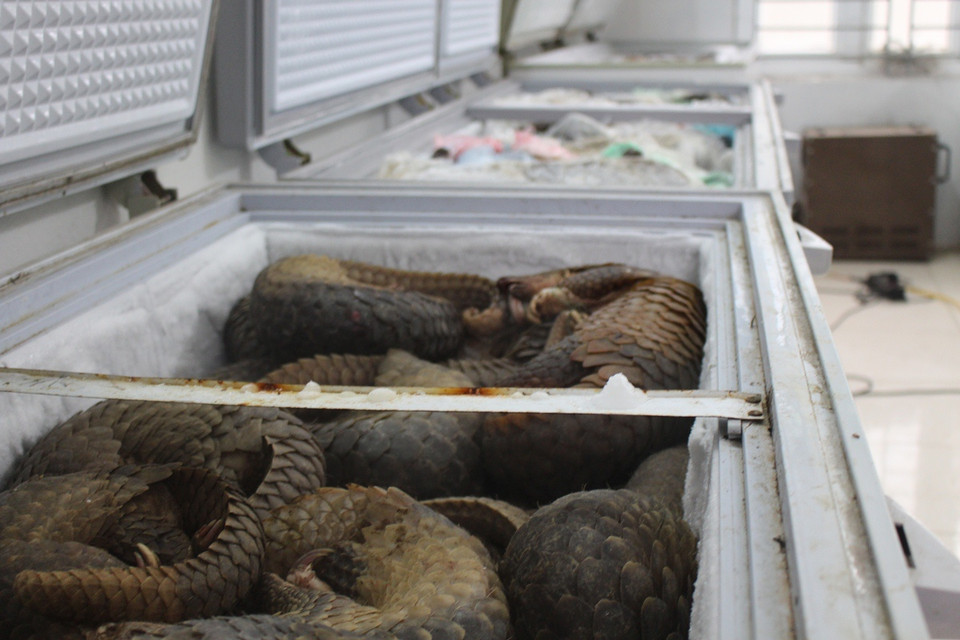 (Ảnh: Hùng Võ/Vietnam+)