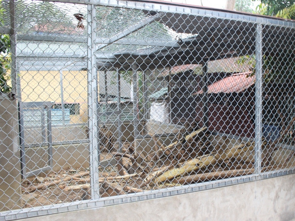 Không gian nuôi tê tê sau khi cứu hộ giờ đã chuyển sang nuôi rùa và các loài động vật khác. (Ảnh: H.V/Vietnam+)