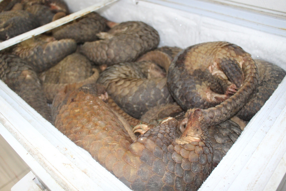  (Ảnh: Hùng Võ/Vietnam+)