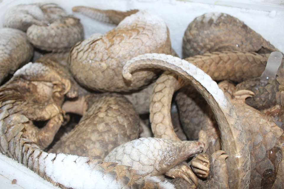  (Ảnh: Hùng Võ/Vietnam+)