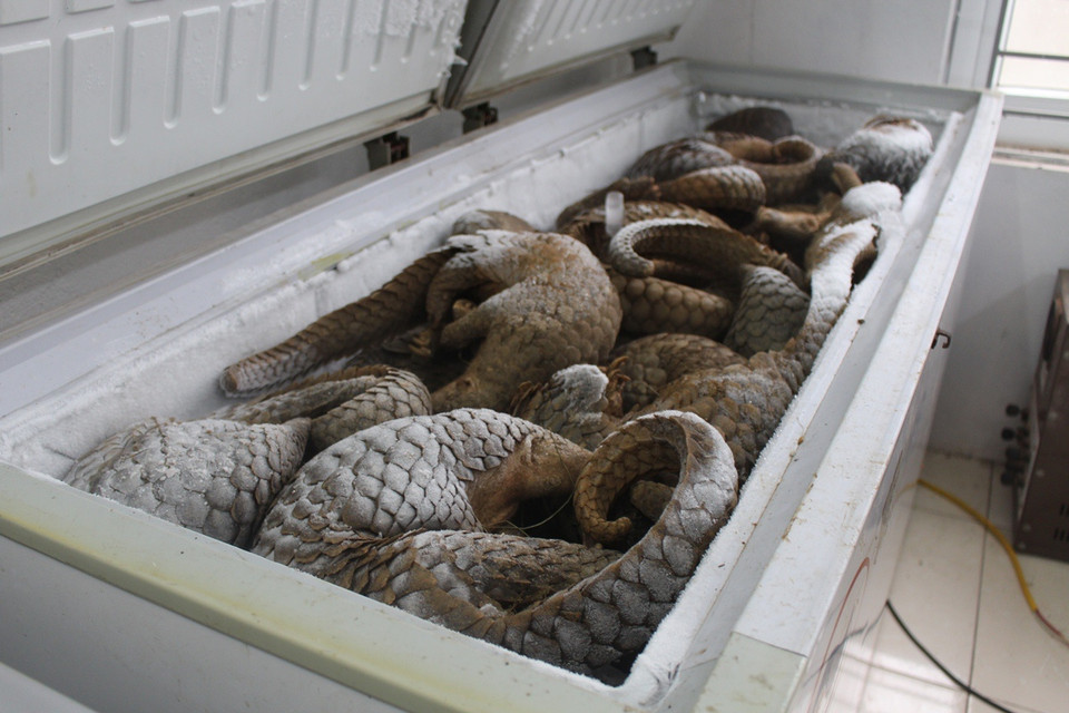  (Ảnh: Hùng Võ/Vietnam+)