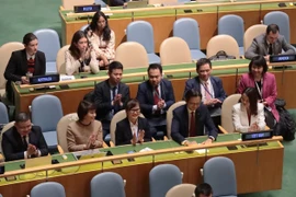 Đoàn Việt Nam sau khi nghe Chủ tịch Đại hội đồng LHQ công bố kết quả bỏ phiếu. (Ảnh: Thanh Tuấn/Phóng viên TTXVN tại Mỹ)