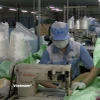 Sản xuất bao bì tại Công ty TNHH KMV Việt Nam, Khu Công nghiệp Bình Xuyên, Xã Bình Nguyên, tỉnh Phú Thọ. (Ảnh: Nguyễn Thảo/Vietnam+)