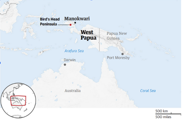 Australia phát hiện loài thú có túi được cho đã tuyệt chủng hàng nghìn năm screenshot-2026-03-26-090253.png
