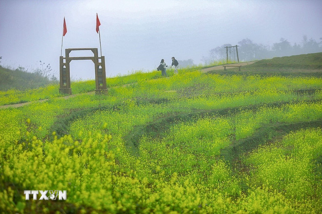 Phú Thọ: Xao xuyến trước vẻ đẹp mùa xuân trên xóm Mừng ttxvn-mung-7-resize.jpg