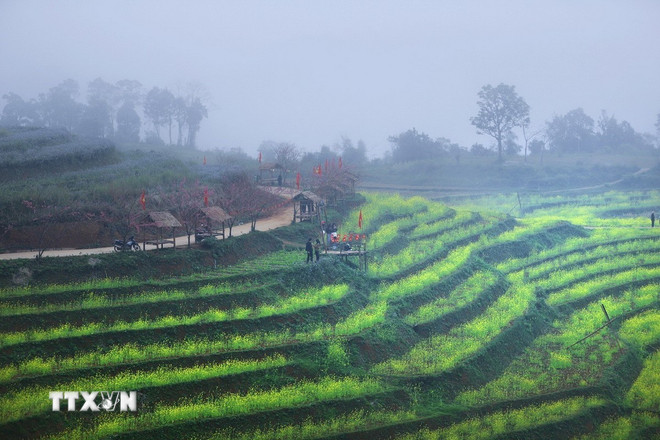 Phú Thọ: Xao xuyến trước vẻ đẹp mùa xuân trên xóm Mừng ttxvn-mung-8-resize.jpg